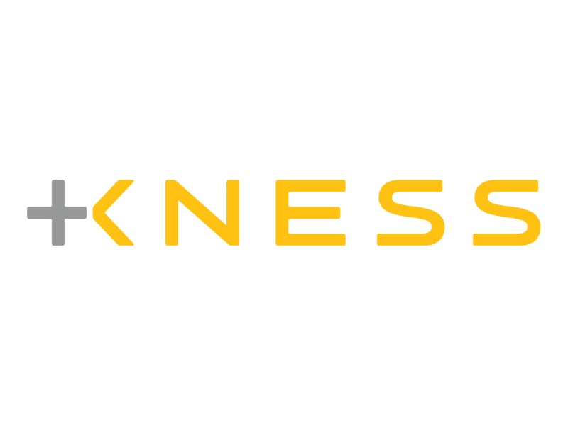Лого KNESS